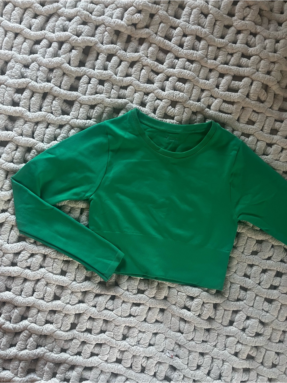Aerie Green Long-Sleeve Crop Top